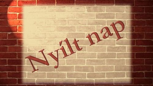 Nyílt nap